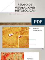 Repaso 1er Examen de Laminillas PDF