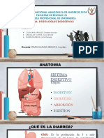 Tipos de Diarreas