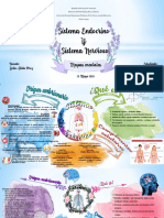 Sistema Endocrino y Nervioso Mapa Mental.