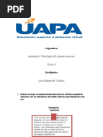 Tarea 8 Anatomia