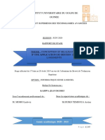 Rapport 1.0 PDF