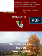 Separata 15 - Evaluación Del Control Interno
