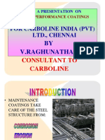 Raghucarbolinepresentations22122011 PDF