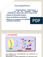 Notas - Cinética Enzimática
