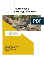 Iguanas Rinocerontes y Cocodrilos PDF