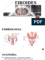 Paratiroides