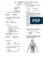 Examen Sistema Digestivo