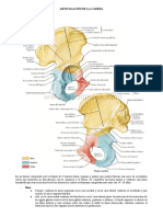 Articulación de Cadera