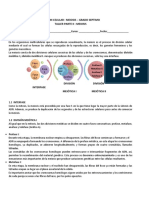 Taller Meiosis