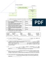 Actividades Ciencias Sistema Circulatorio