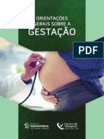 Orientacoes Gerais Sobre A Gestacao PDF