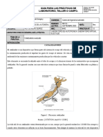 Guía para Prácticas de Laboratorio Autotronica Catalizadores Avanzado Electude