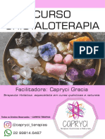 Apostila Cristalo 5.0 PDF