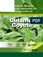 Manual BPA Culantro de Coyote PDF