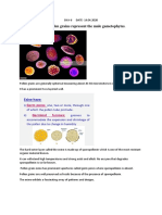 Pollen Grain: The Pollen Grains Represent The Male Gametophytes