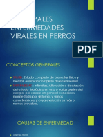 Principales Enfermedades Virales en Perros