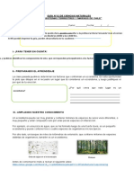 4° Básico Ciencias Naturales Guía 12 María Fernanda Vives