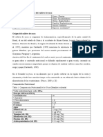 Clasificación Taxonómica Del Cultivo de Yuca