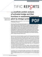 Extracelular Proteins