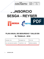 Plan Anual de Seguridad y Salud en El Trabajo-2019