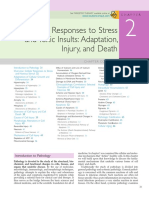 Apoptosis Necrosis Robbins PDF