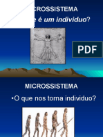 Aula Microssistema Jeferson