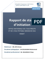 BEL-AFIA Hanae, Rapport de Stage D'observation VF 2019