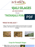 01 Patanjali Forages Silage Business PlanPPT Final-1