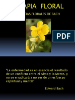 6 Flores de Bach - 5