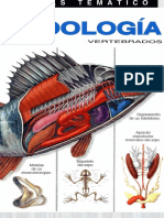 Zoología, Vertebrados (Aritio L.) PDF