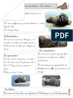 Le-Morse Documentaire BDG PDF