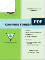 Caminos Forestales