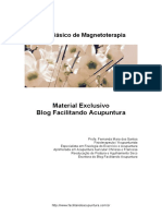 Guia Básico de Magnetoterapia PDF