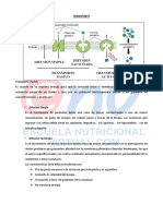 Transporte Activo y Pasivo PDF