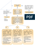 Testimonio Mapa Conceptual