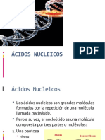 Ácidos Nucleicos