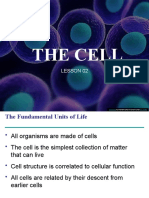 02 - The Cell