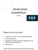 Carbohydrate Metabolism