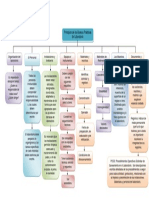 Mapa Conceptuall