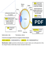 Sentido Da Visão