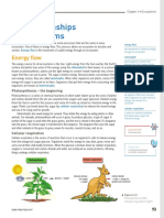 Food Chain and Food Web PDF