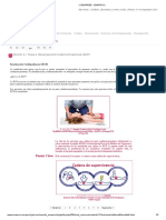 Nociones de Primeros Auxilios: Sesión 4 / Tema 6. Reanimación Cardiopulmonar (RCP)