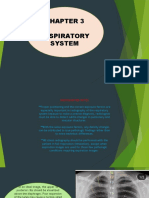 Respiratory System: Gemalyn Bulawan