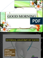 Internal Anatomy of Tooth..