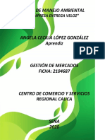 Plan de Manejo Ambiental