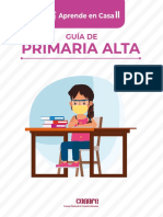 Guía Primaria Alta