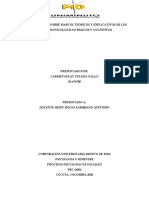 Análisis Crítico Sobre Marcos Teóricos y Explicativos de Los Procesos Psicológicos Básicos y Cognitivos