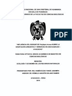 Tesis de Pelilepys PDF