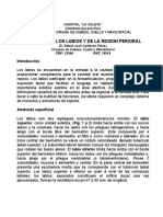 Anatomia de Los Labios y de La Region Perioral