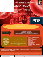 Anemia en Gestante